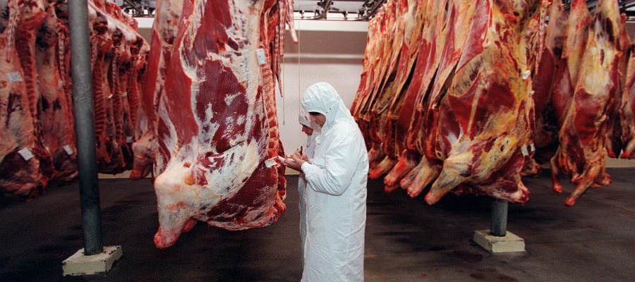 ET ÜRETİM SEKTÖRÜNDE İŞ SAĞLIĞI GÜVENLİĞİ